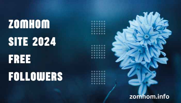 Zomhom Site 2024 Free Followers